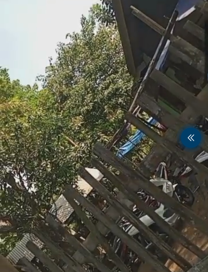 DI BAWAH HIDUNG APARAT, PERJUDIAN BERKUASA! SABUNG AYAM, DADU DAN CAPJKI MENGELUASA DI BANDARAN — POLSEK WINONGAN DITUDUH BUTA TULI?
